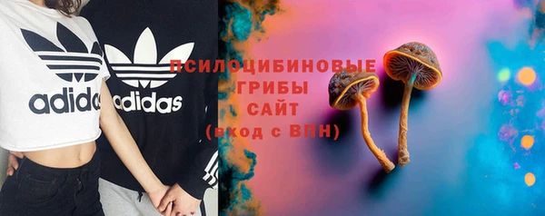 прущий лед Горно-Алтайск