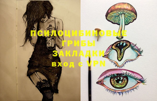 первитин Саяногорск